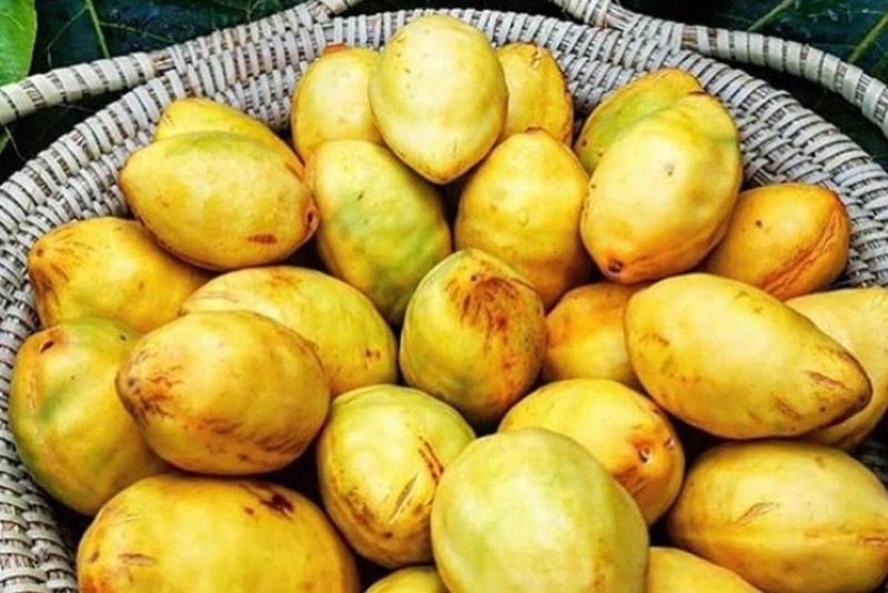 quả bàng ảnh 2