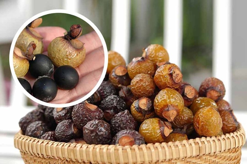 Bồ hòn là quả gì (ảnh 2)