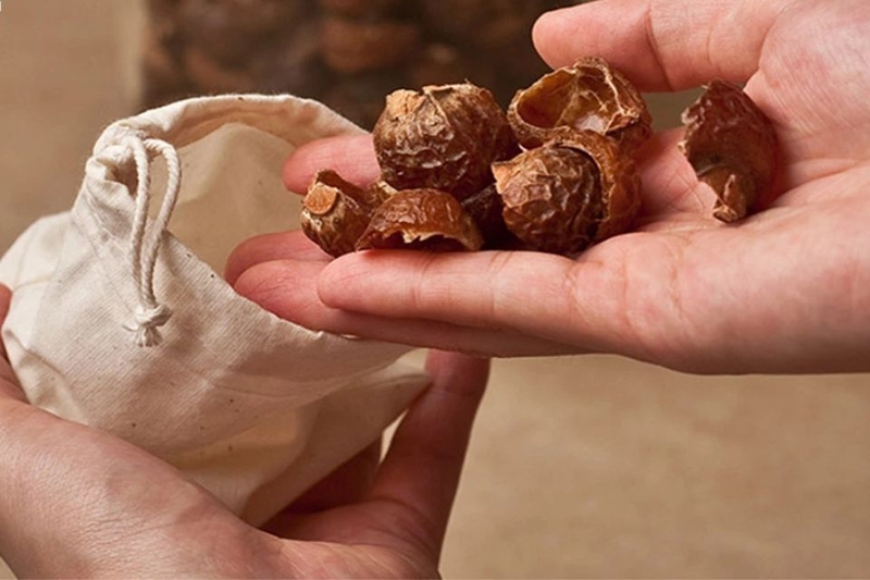 Bồ hòn là quả gì (ảnh 4)