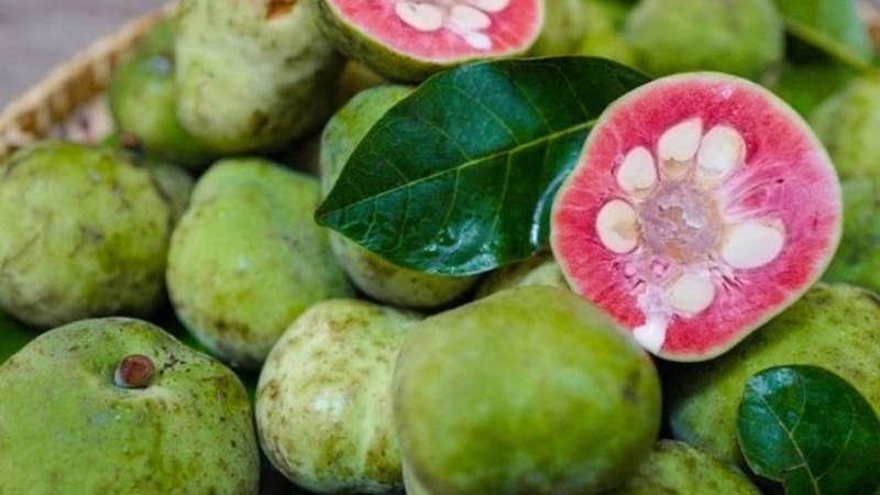 Những ứng dụng khác của quả chay