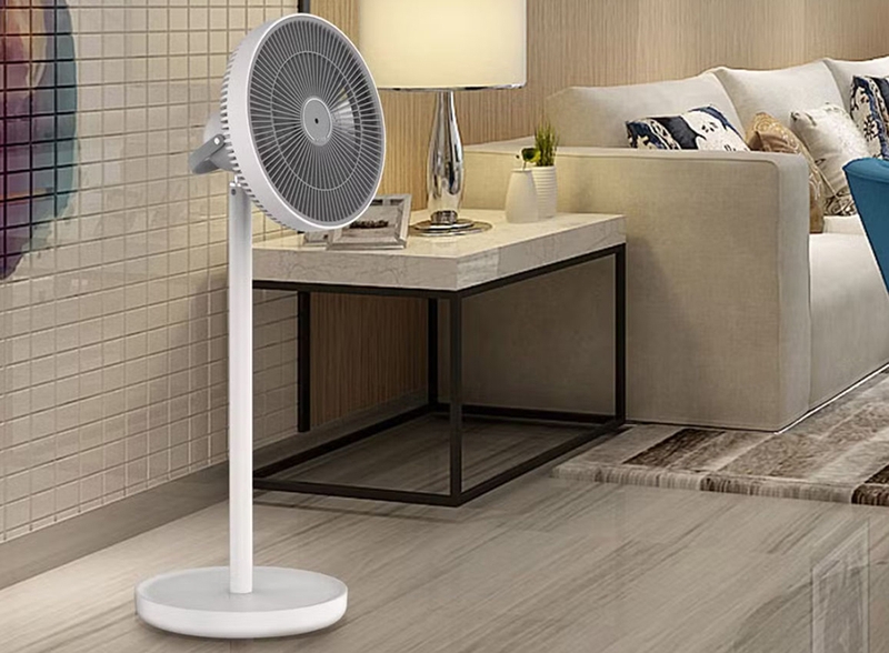 Quạt cây cho phòng khách tốt nhất 2025 - 02