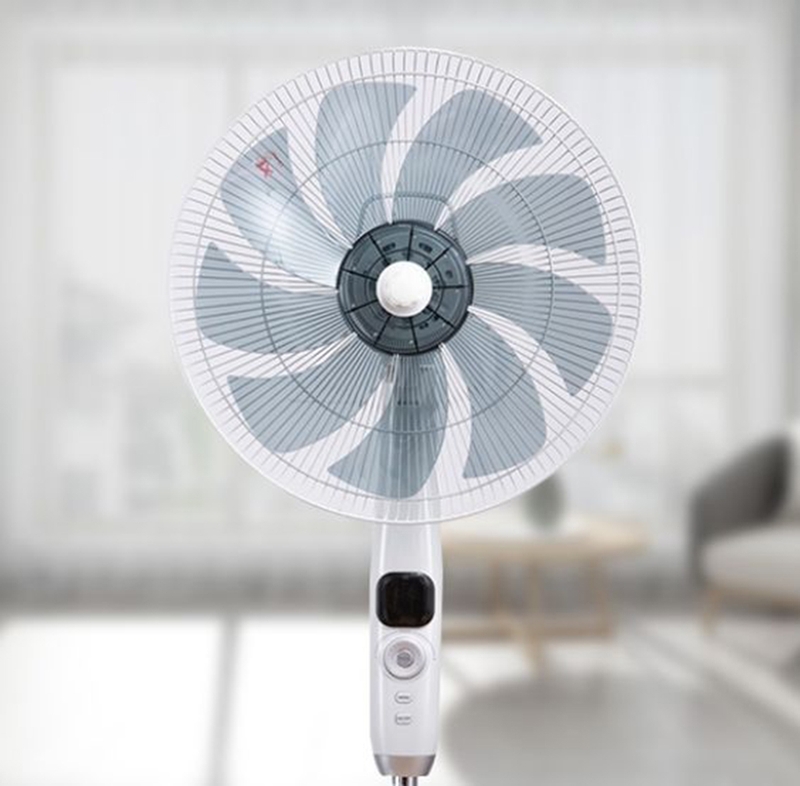 Quạt cây cho phòng khách tốt nhất 2025 - 04