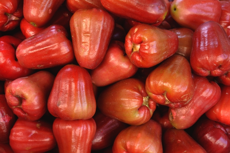 Quả roi 7
