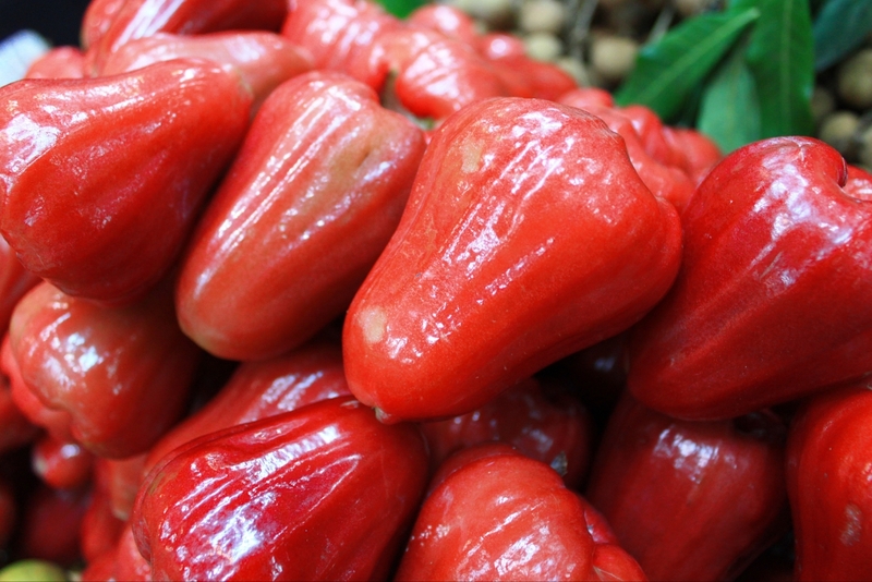 Quả roi 5