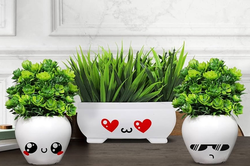 Quà tặng 20/10 cho cô giáo: Chậu cây xanh mini.