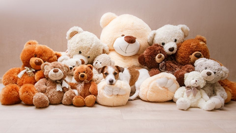 quà tặng crush ngày 20/10 (ảnh 4)