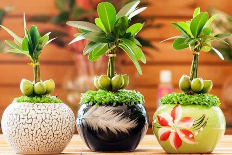 quà tặng sếp nam 13