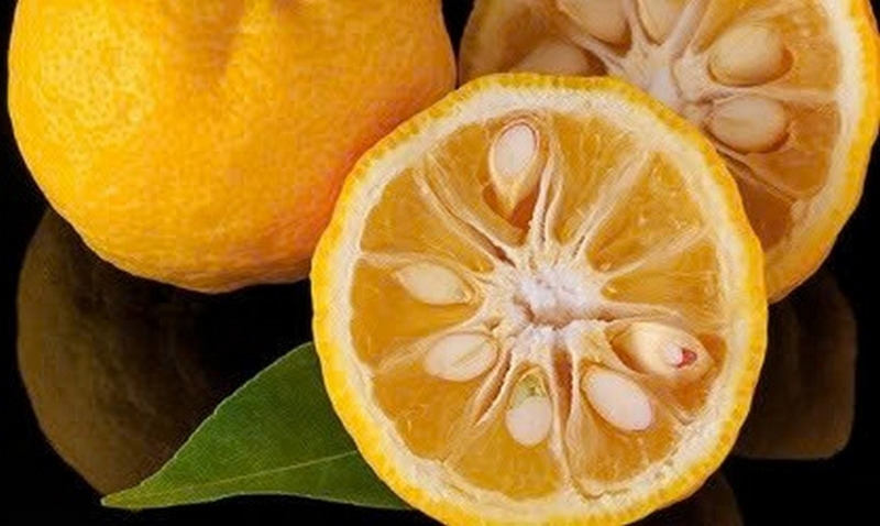 Quả yuzu ảnh 6