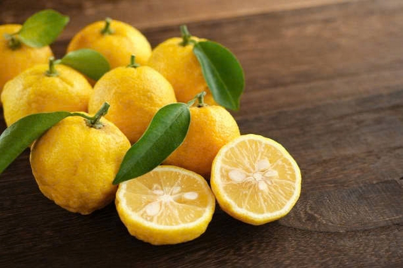 Quả yuzu ảnh 7