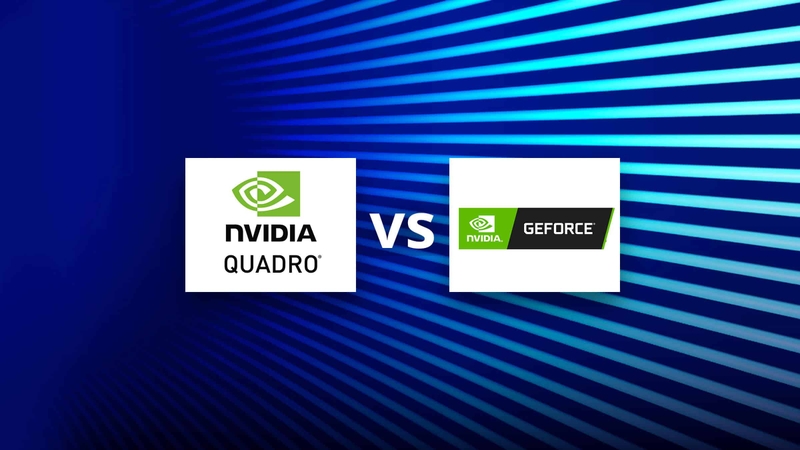 Quadro là gì (ảnh 5)