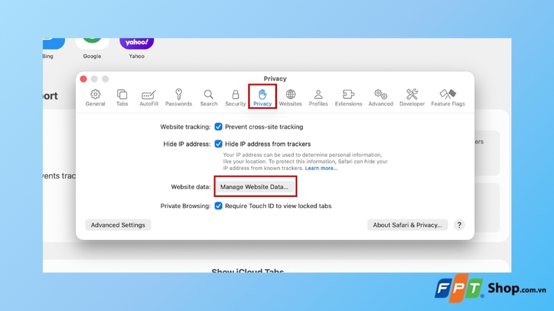 nhấn vào nút Manage Website Data