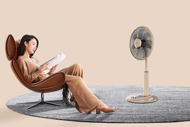 Quạt Hawonkoo - 06