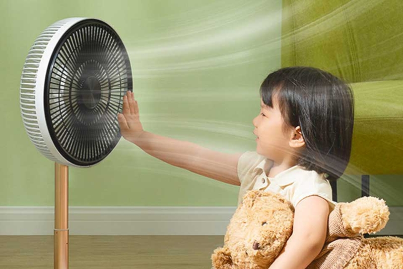 Quạt Hawonkoo - 04