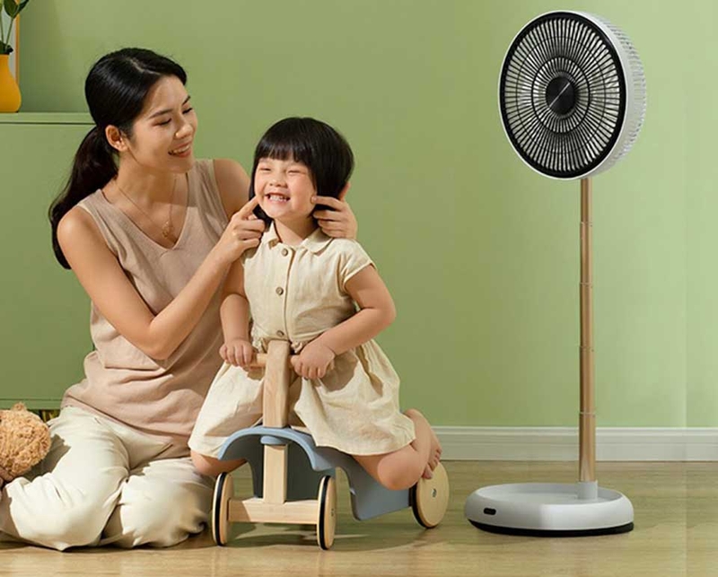 Quạt Hawonkoo - 03