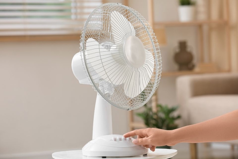 quạt b&agrave;n tốt nhất 2026 (ảnh 1)