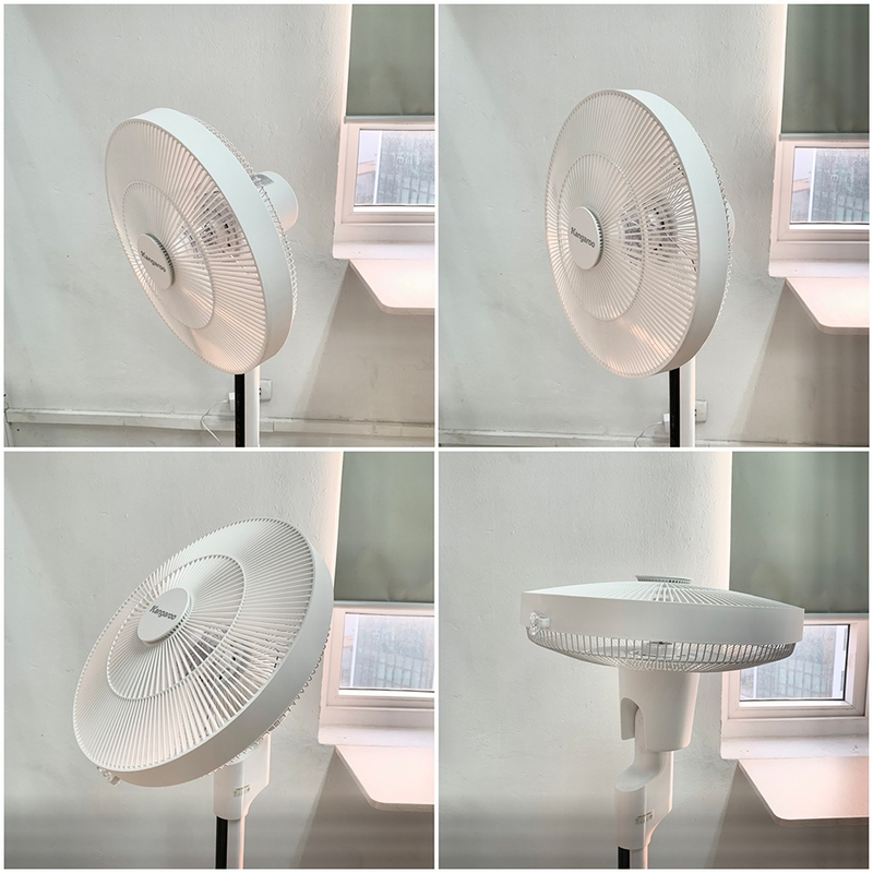 Quạt cây đứng tốt nhất 2025 - 06