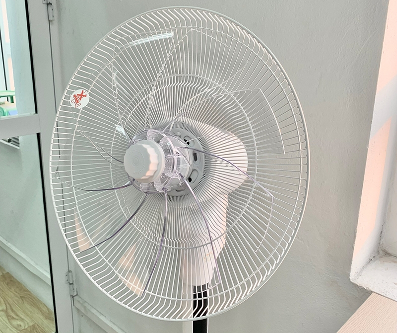 Quạt cây đứng tốt nhất 2025 - 05