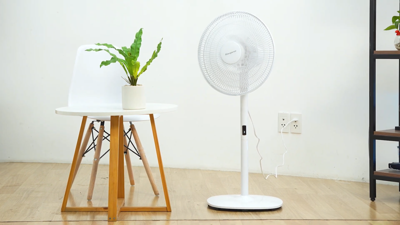 quạt c&acirc;y tốt nhất 2026 (ảnh 1)