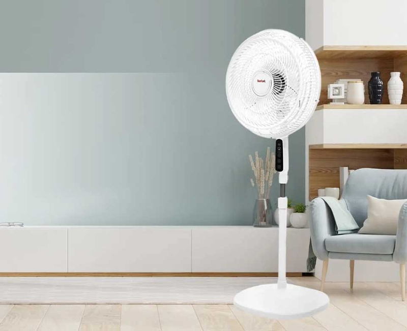 Quạt c&acirc;y cho ph&ograve;ng kh&aacute;ch tốt nhất 2026 - 06