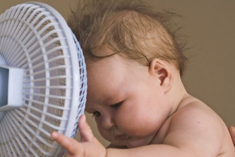 Lồng quạt chắc chắn hoặc thiết kế không cánh giúp giảm khả năng tiếp xúc trực tiếp với cánh quay