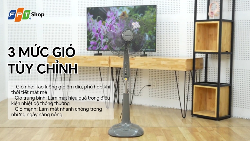 Top 5 mẫu quạt điện tốt nhất 2026 1