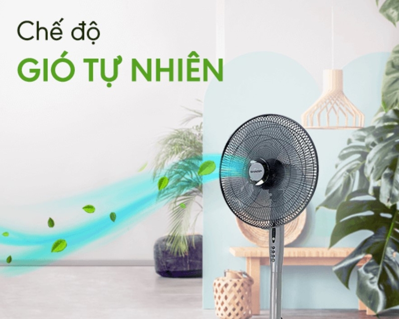 Quạt lửng (ảnh 3)