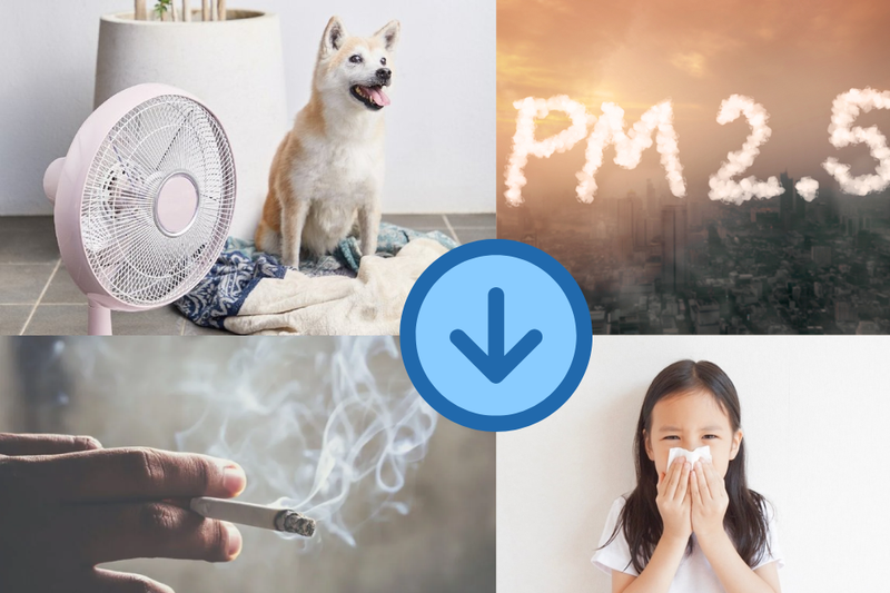 quạt tạo ion có tốt không (2)