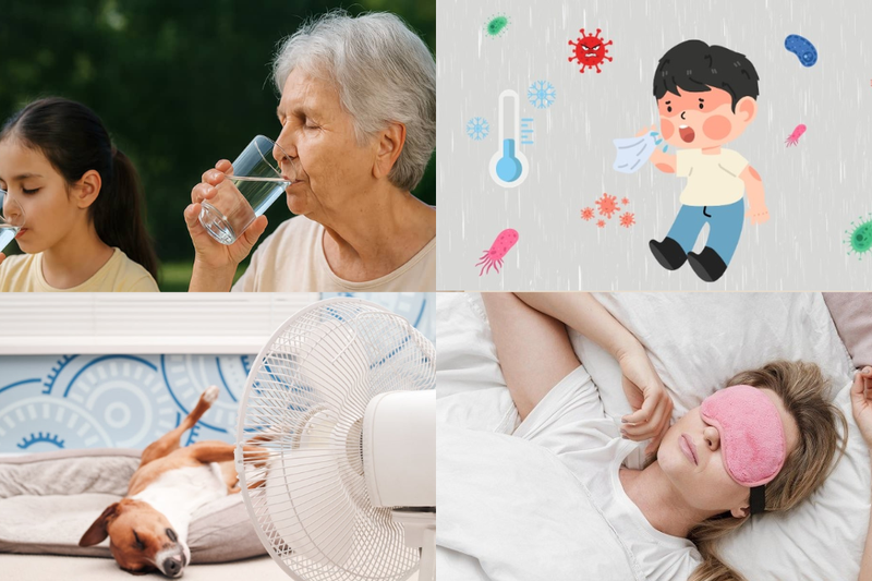 quạt tạo ion có tốt không (4)