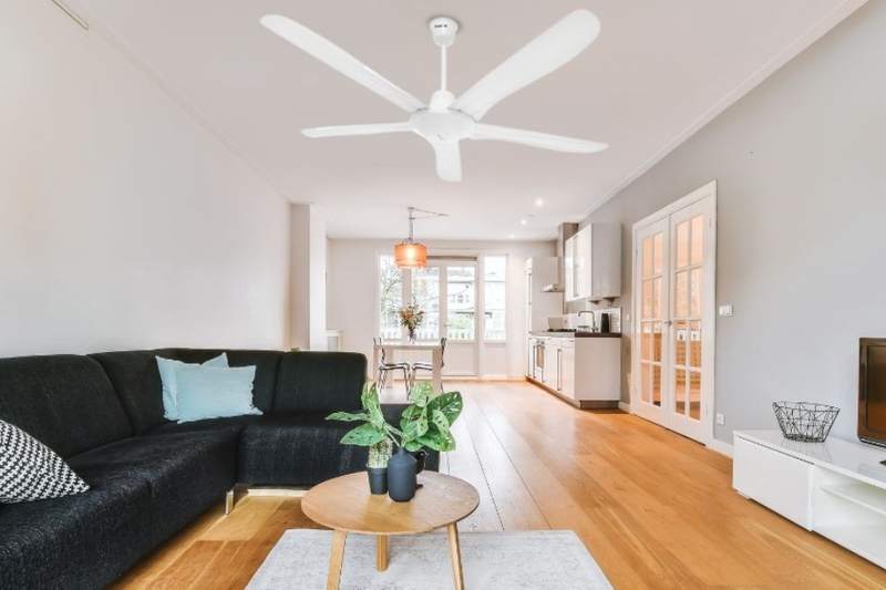 quạt trần hãng nào tốt 2026 (ảnh 10)