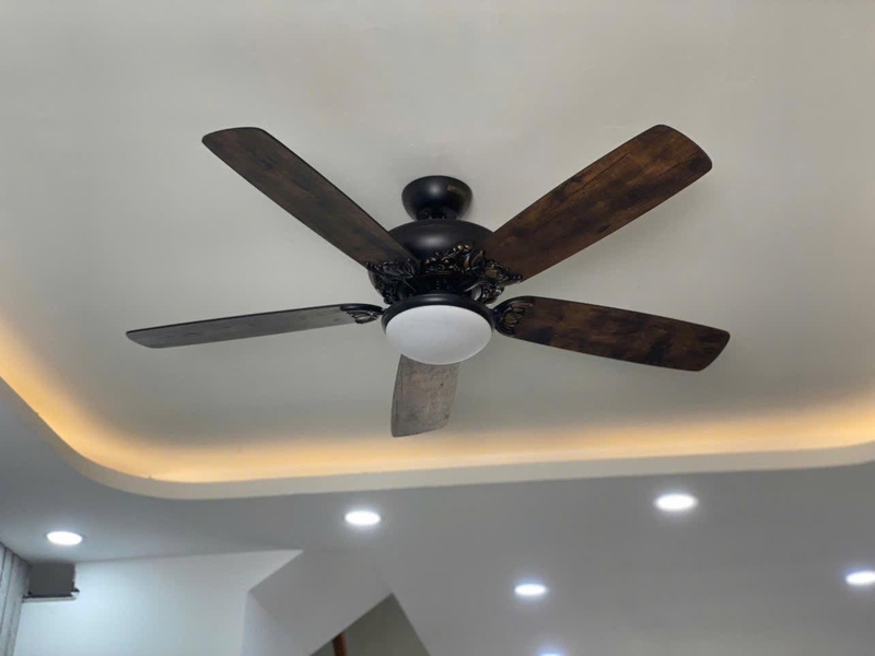 quạt trần Mr.Vu có tốt không hình 7