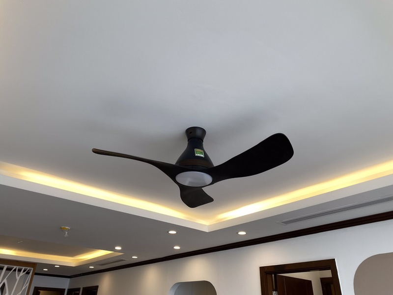 Quạt trần Panasonic F-48DGL
