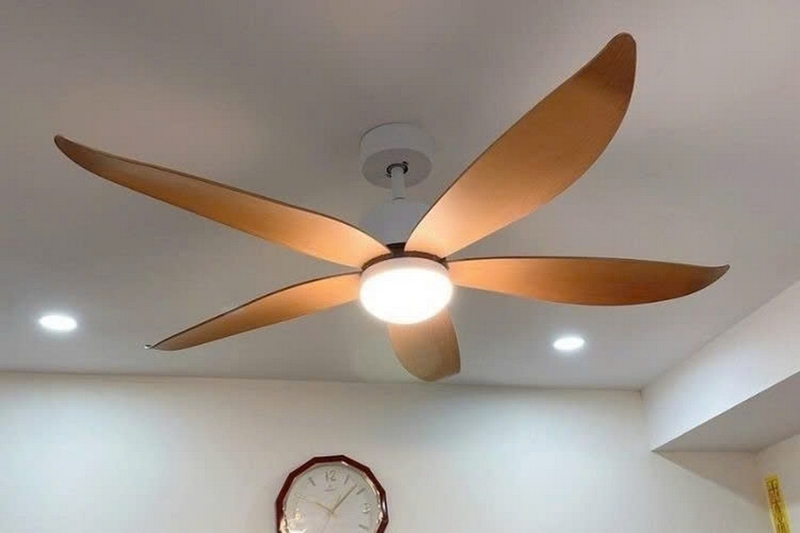 Quạt trần quay nhưng không mát ảnh 1