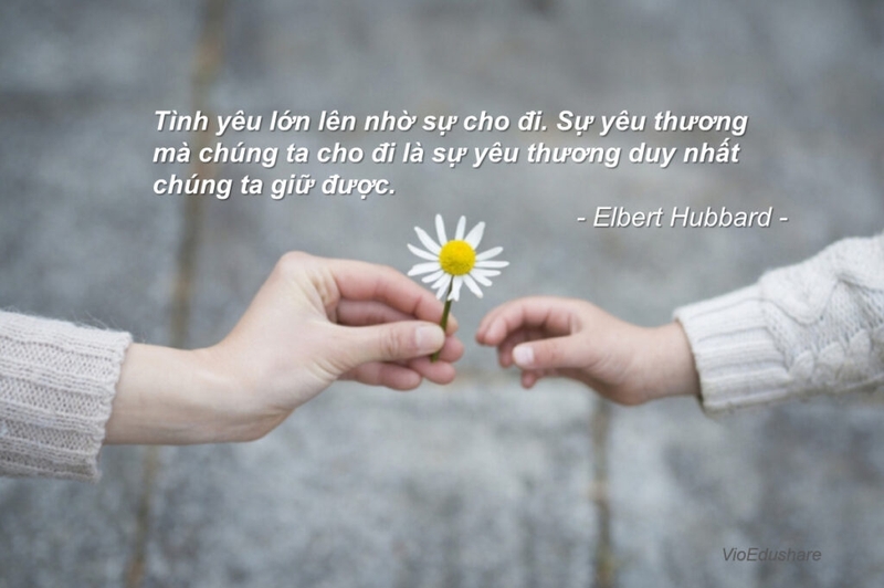 quotes là gì 5.jpg