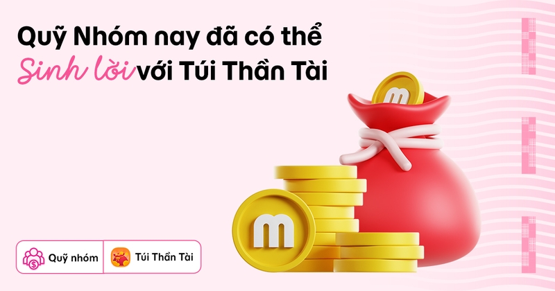 Quỹ nhóm MoMo là gì (ảnh 4)