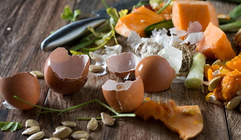 Rác hữu cơ là gì 1