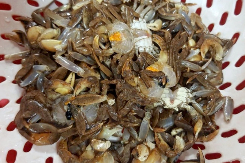 Rạm kho lá lốt - 03