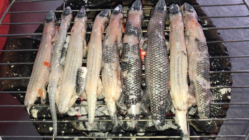 rắn mối nướng 3
