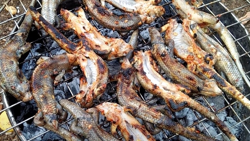rắn mối nướng 4