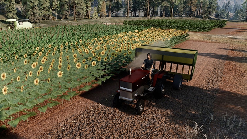 Ranch Simulator - 04