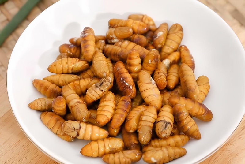 Bí quyết chọn nhộng tằm ngon