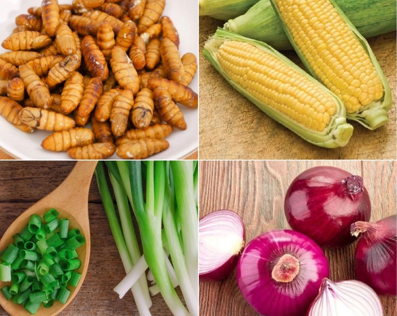 Nguyên liệu làm nhộng tằm rang ngô ngọt