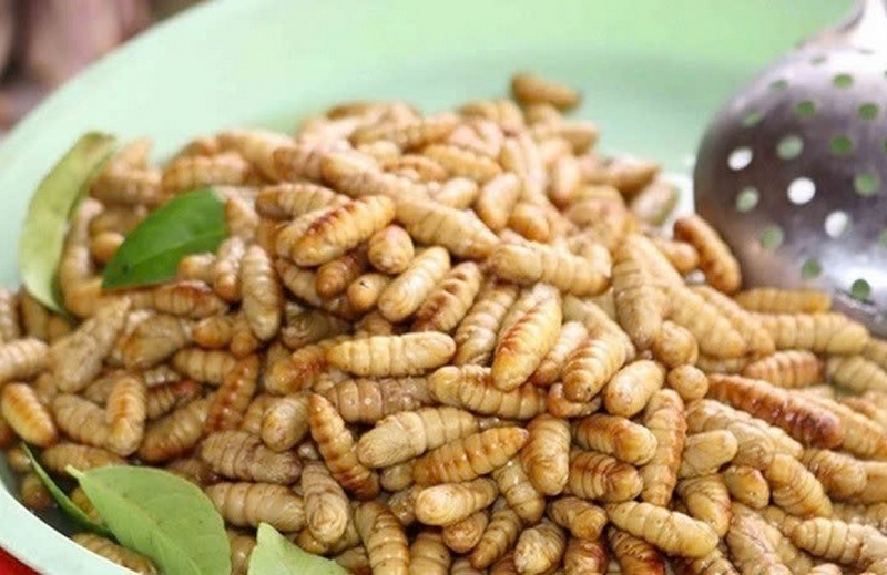 rang nhộng tằm tránh dị ứng ảnh 1