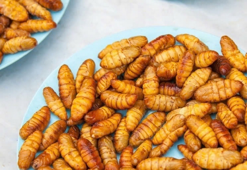 rang nhộng tằm tránh dị ứng ảnh 3