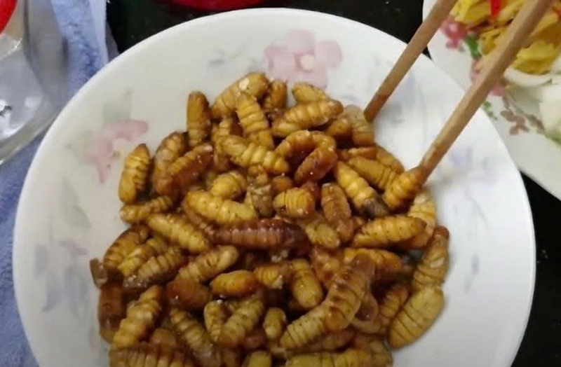 rang nhộng tằm tránh dị ứng ảnh 4