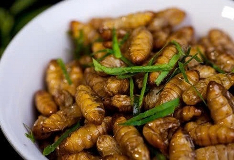 rang nhộng tằm tránh dị ứng ảnh 6