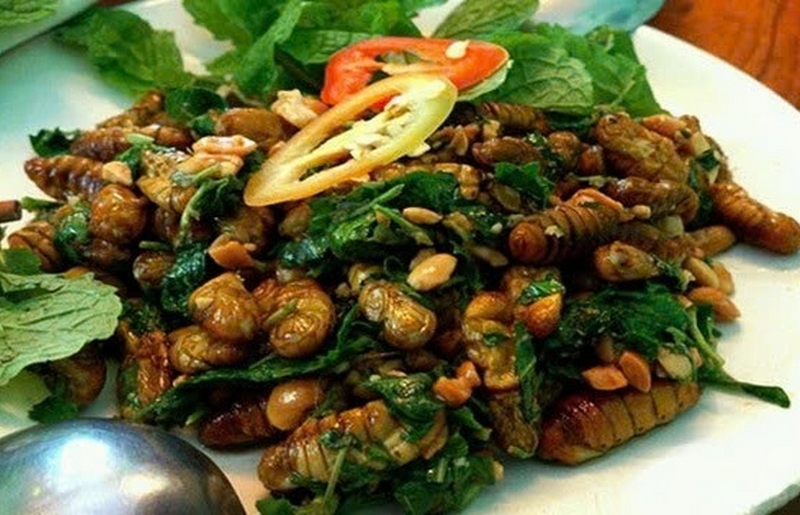 rang nhộng tằm tránh dị ứng ảnh 8