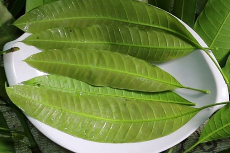 rau ăn bánh xèo 7