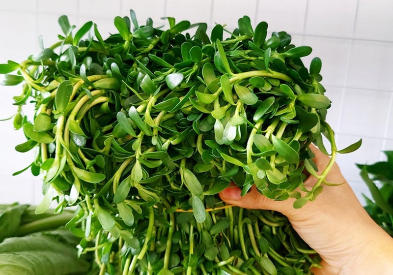 Rau ăn bún mắm - 07