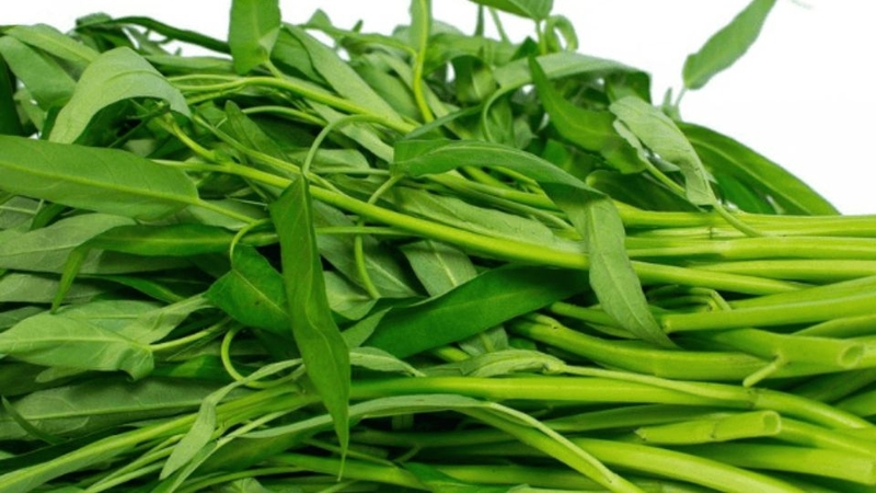 Rau muống