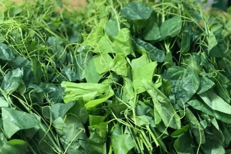 Cách sơ chế rau bò khai như thế nào?